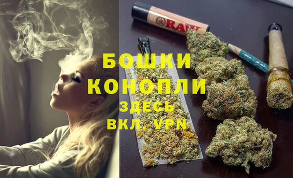 шишки Абдулино