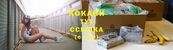 шишки Абдулино