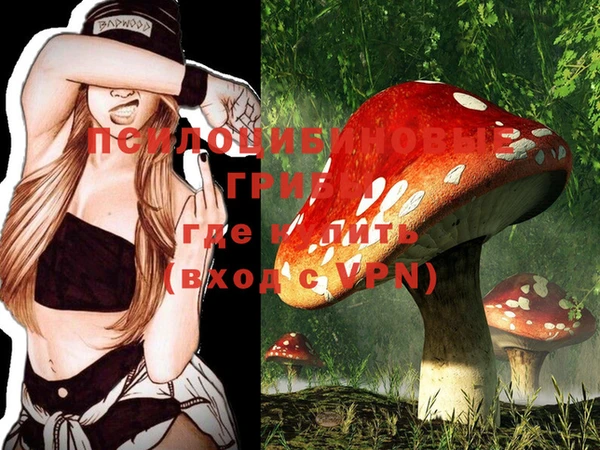 шишки Абдулино